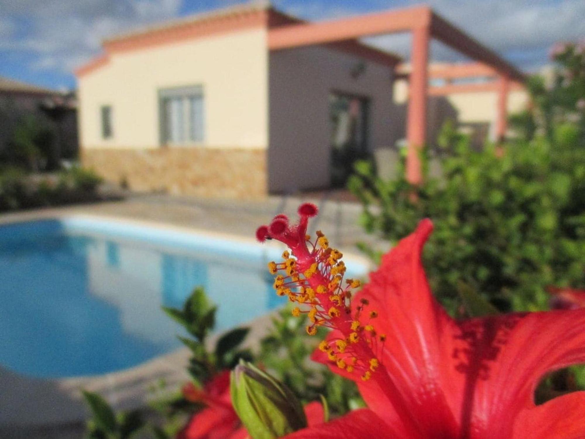 Villa Romeo Comfortable Holiday Residence Коста Калма Екстериор снимка